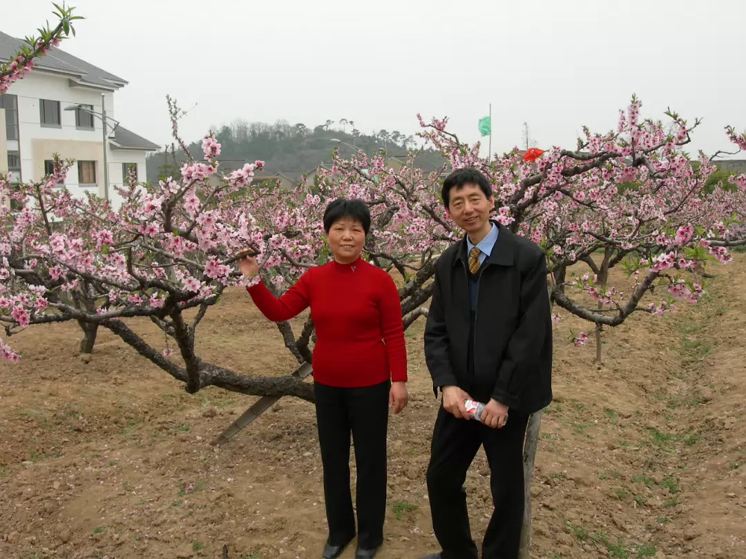 Peach-Festival-22