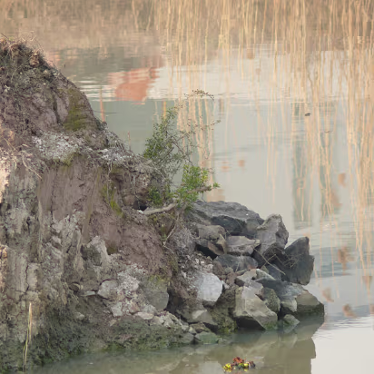 CampusW-07 Nice wetland areas all around the campus. Just missed the quail, darn it.