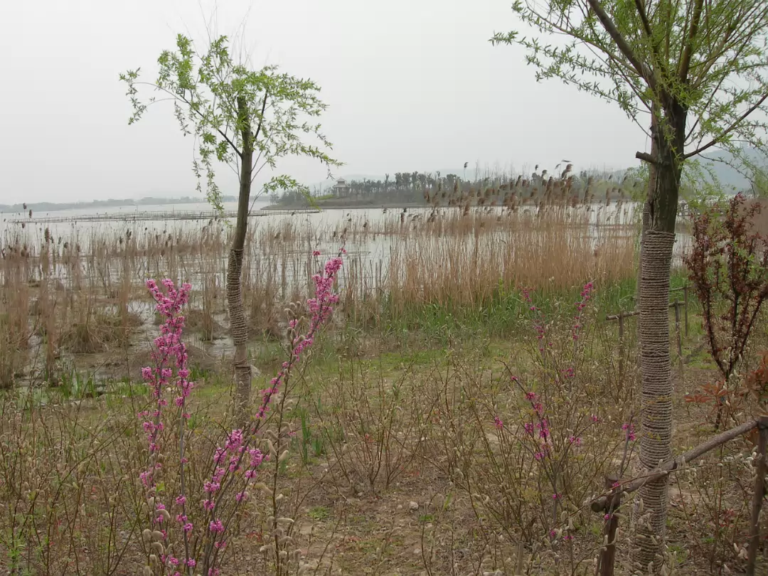 Tai-Lake-02