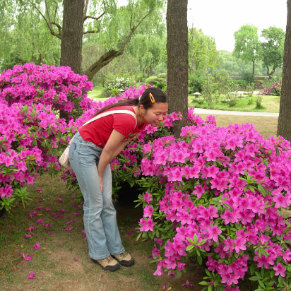 Turtle-Head-Island-02 You gotta stop and smell the roses. Ok, they're not roses...