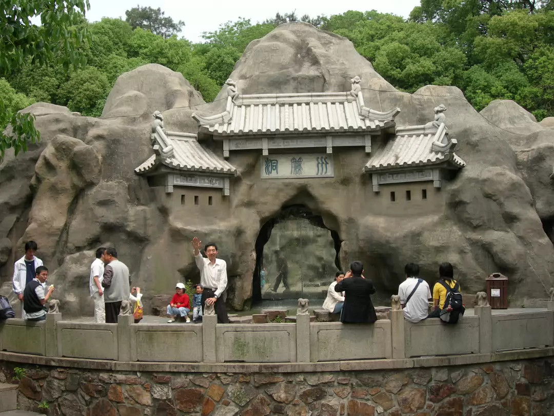 Turtle-Head-Island-13