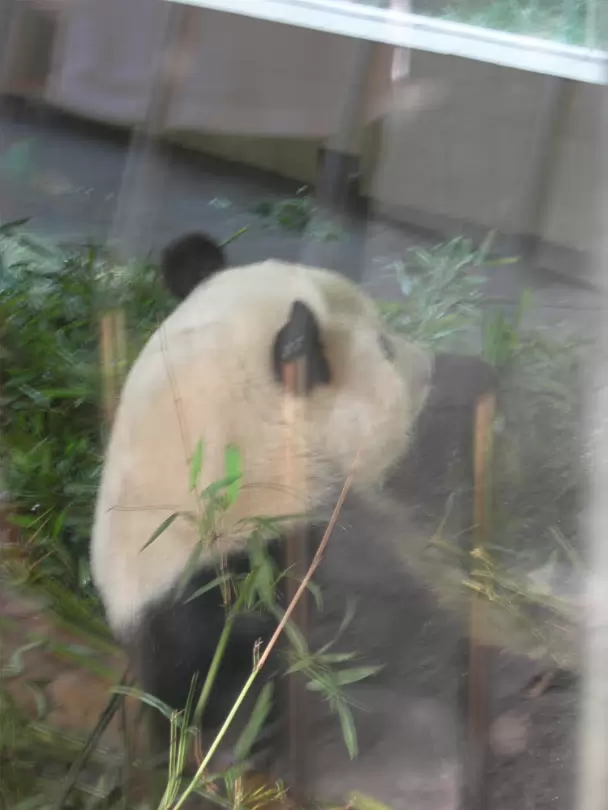 Xi-Hui-Park-09