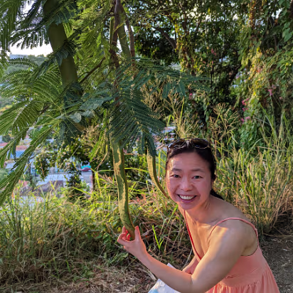 USVI-0006 Hanhan thought she had found giant tropical green beans.