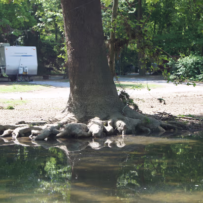 Blanchard_Springs-015