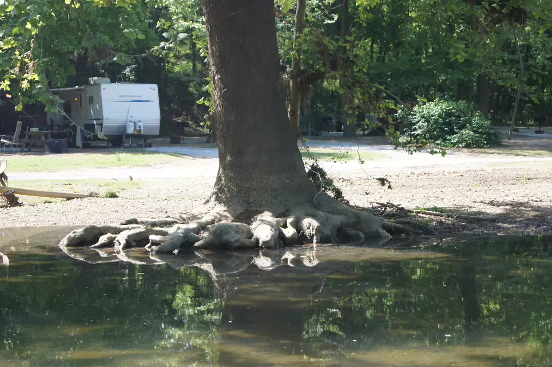 Blanchard_Springs-015