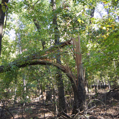 Bull_Shoals_Camping-034