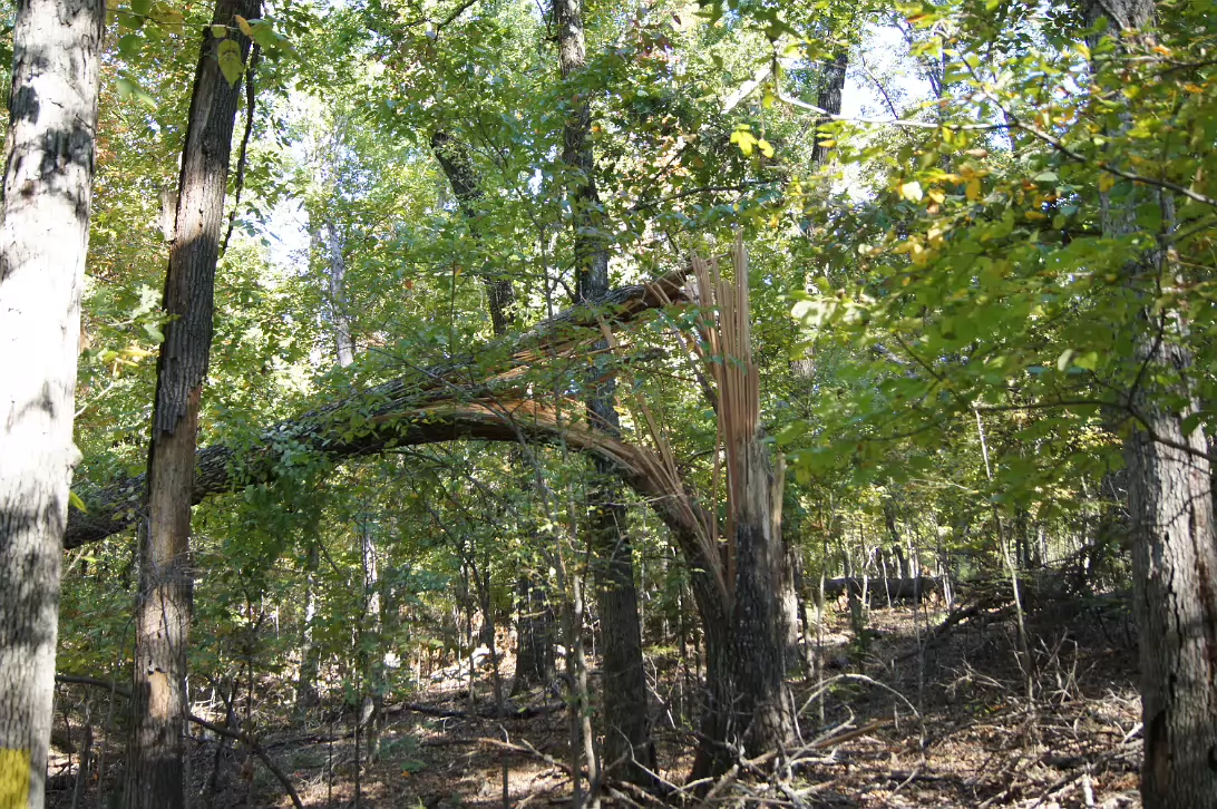 Bull_Shoals_Camping-034