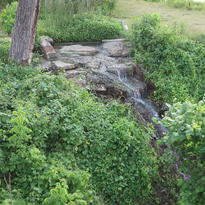 Downtown_Little_Rock-012 Little waterfall in downtown.