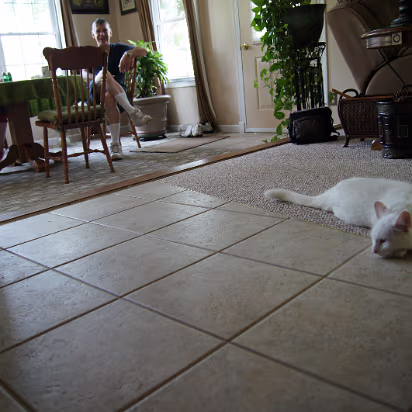 Weekend_Trip_June_2011-030 Everyone is lazy on Sunday morning.