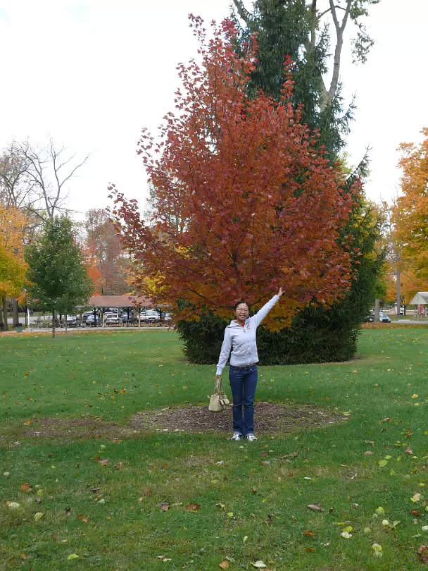 Autumn_2009-002