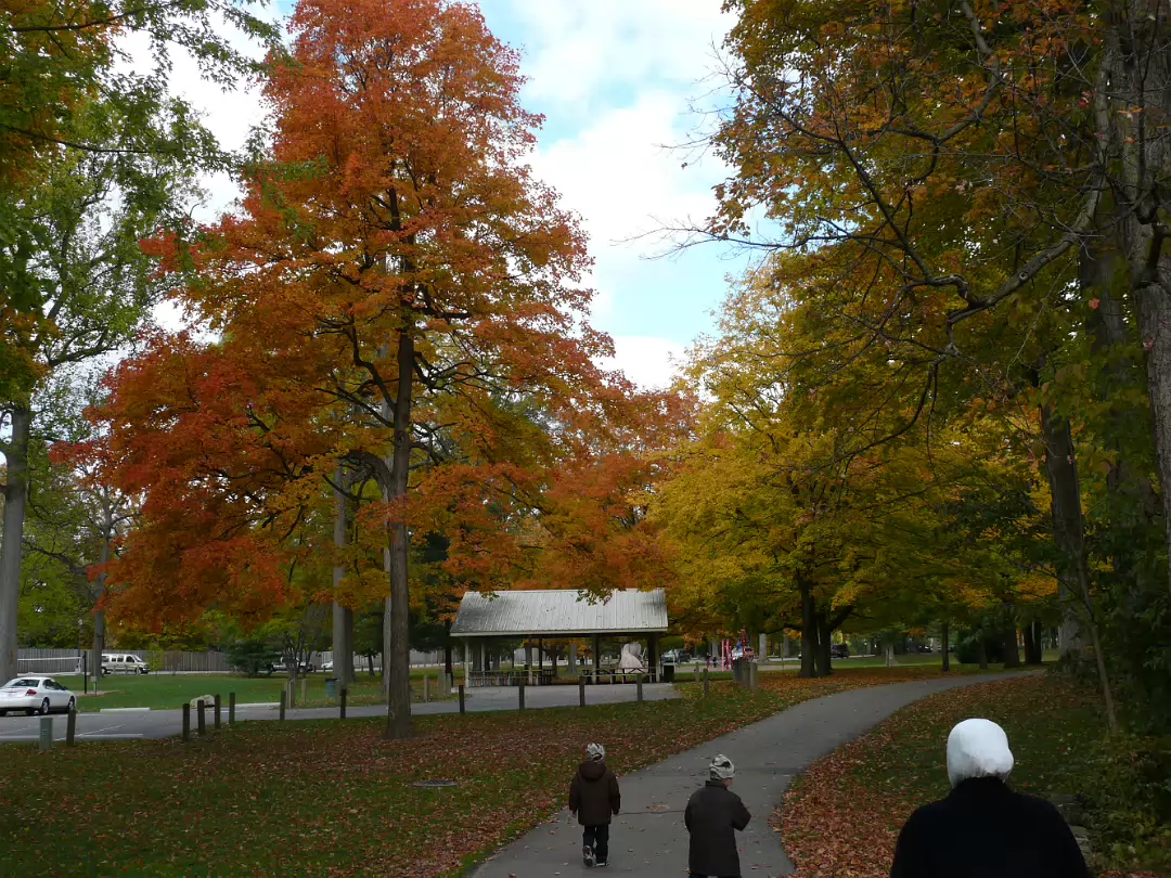 Autumn_2009-003