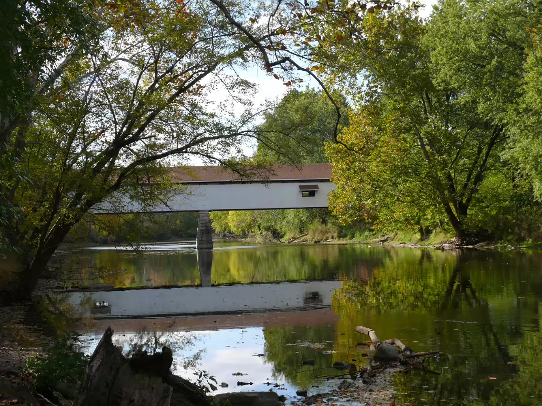Autumn_2009-022
