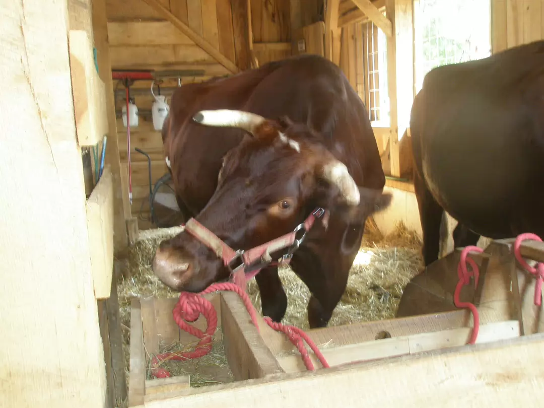 Indiana_State_Fair-023