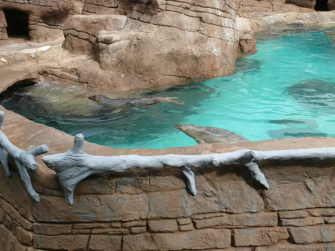 Zoo_Sep_2009-002