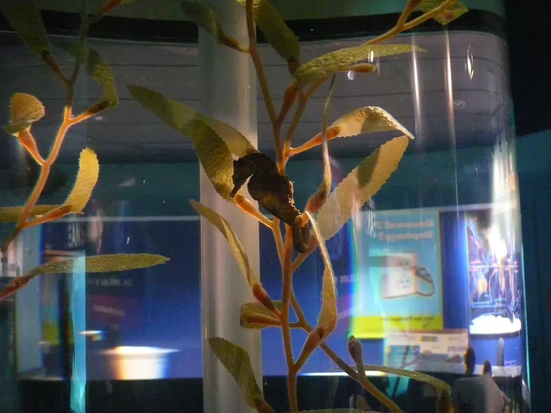 Zoo_Sep_2009-011