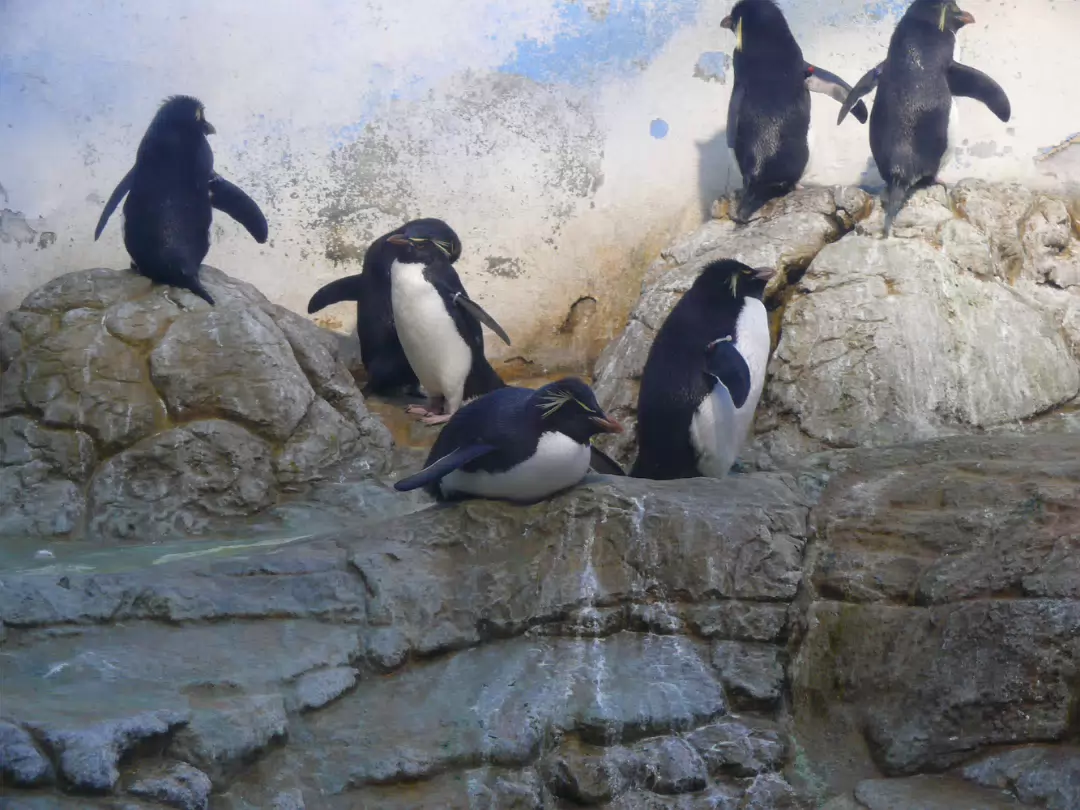 Zoo_Sep_2009-016