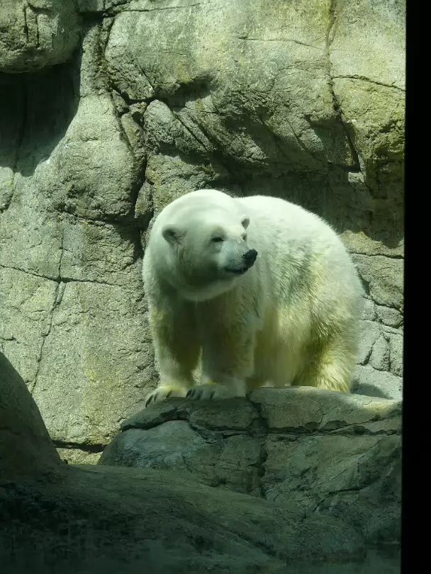 Zoo_Sep_2009-019
