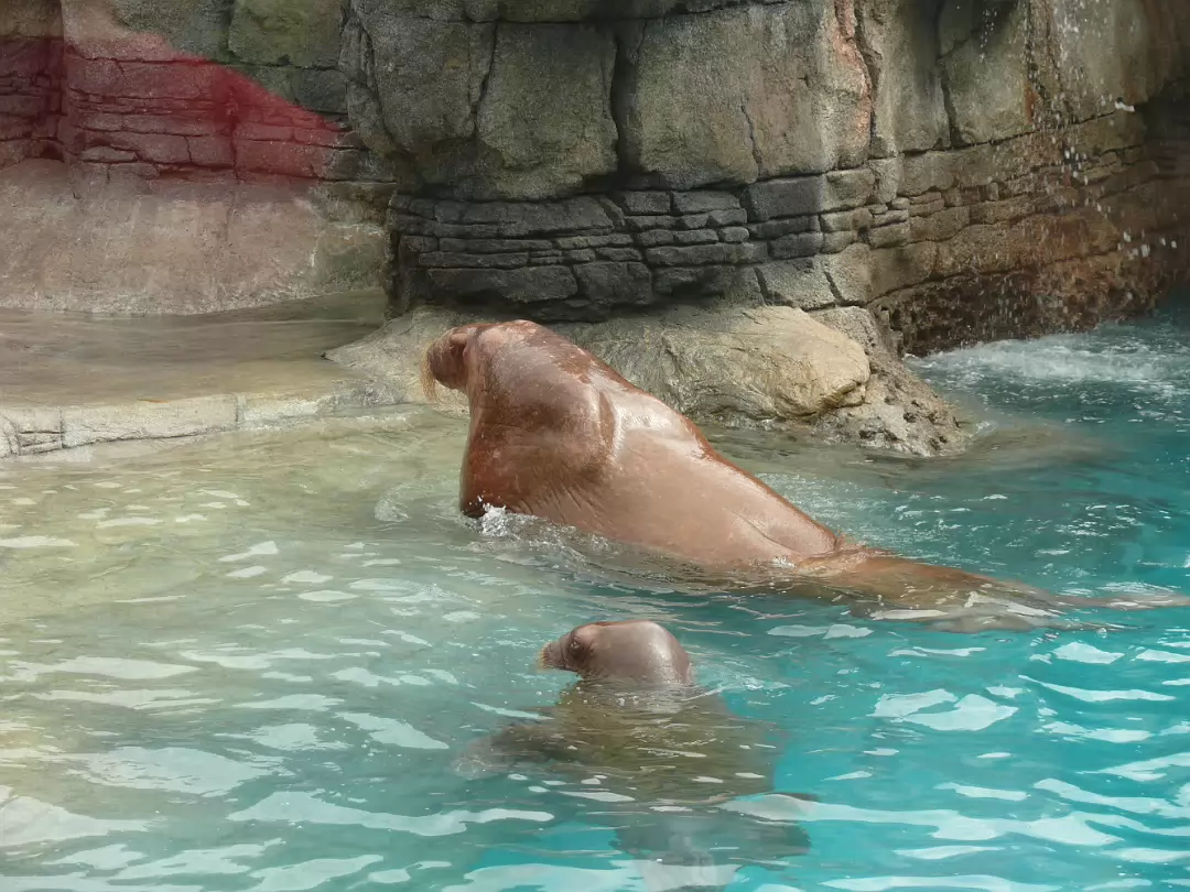 Zoo_Sep_2009-035