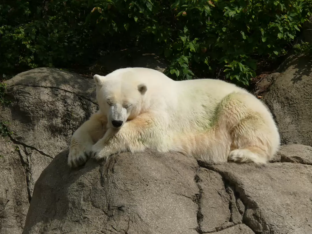 Zoo_Sep_2009-038
