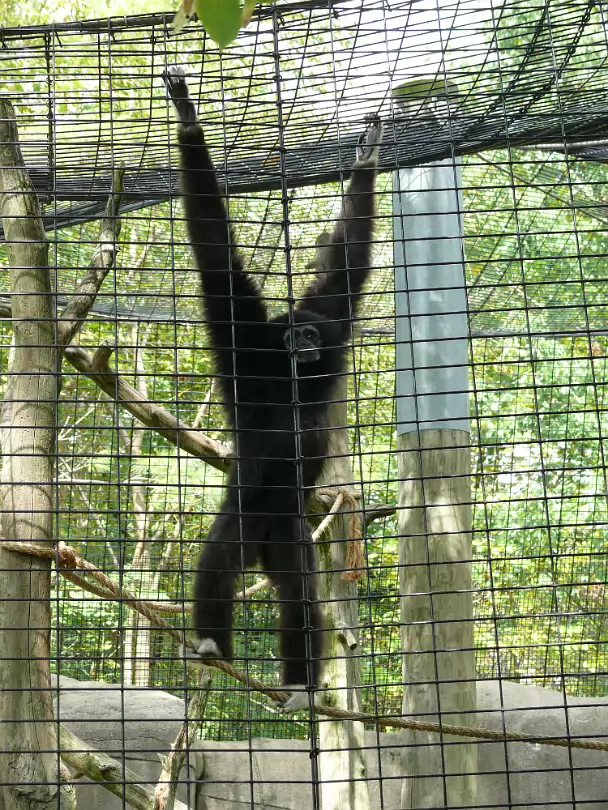 Zoo_Sep_2009-047