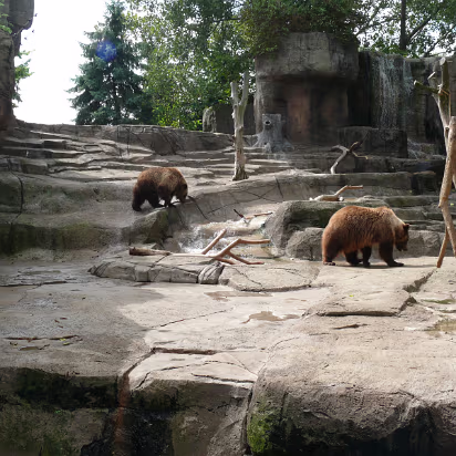 Zoo_Sep_2009-052 Alaskan brown bears playing.