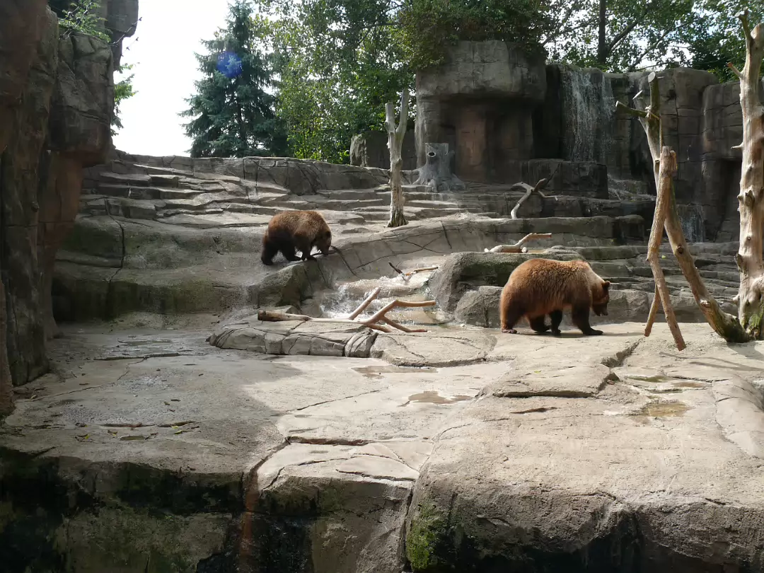 Zoo_Sep_2009-052