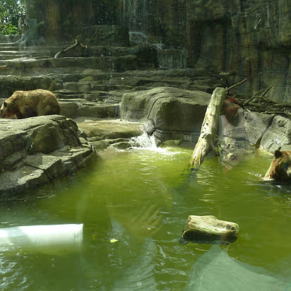 Zoo_Sep_2009-054 This one is looking for food.