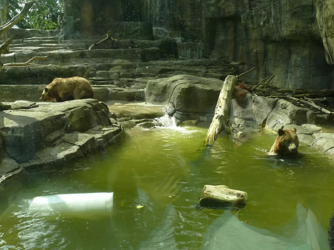Zoo_Sep_2009-054