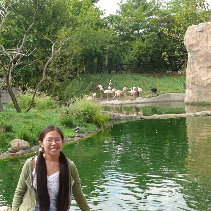 Zoo_Sep_2009-058 Hanhan likes pink flamingos.