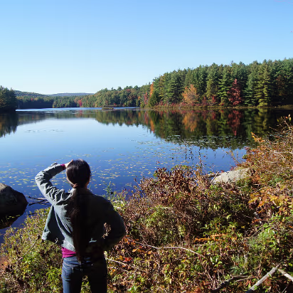 New_England_Fall_2014-010