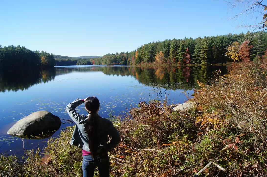 New_England_Fall_2014-010