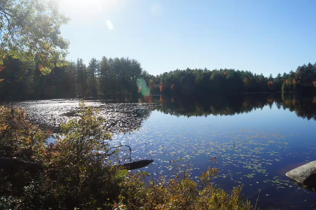 New_England_Fall_2014-012