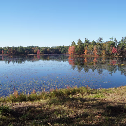 New_England_Fall_2014-016