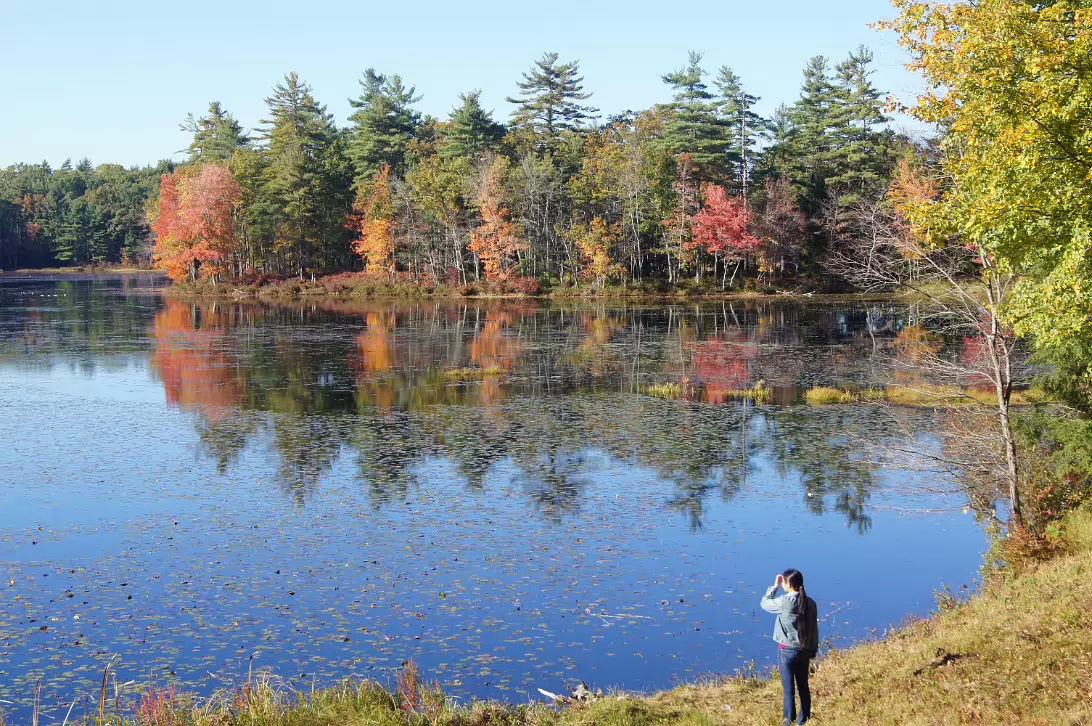 New_England_Fall_2014-018