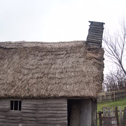 Thanksgiving_2014-008