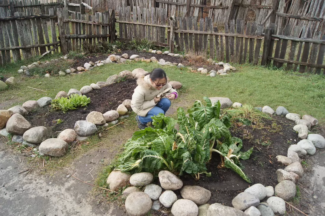 Thanksgiving_2014-016