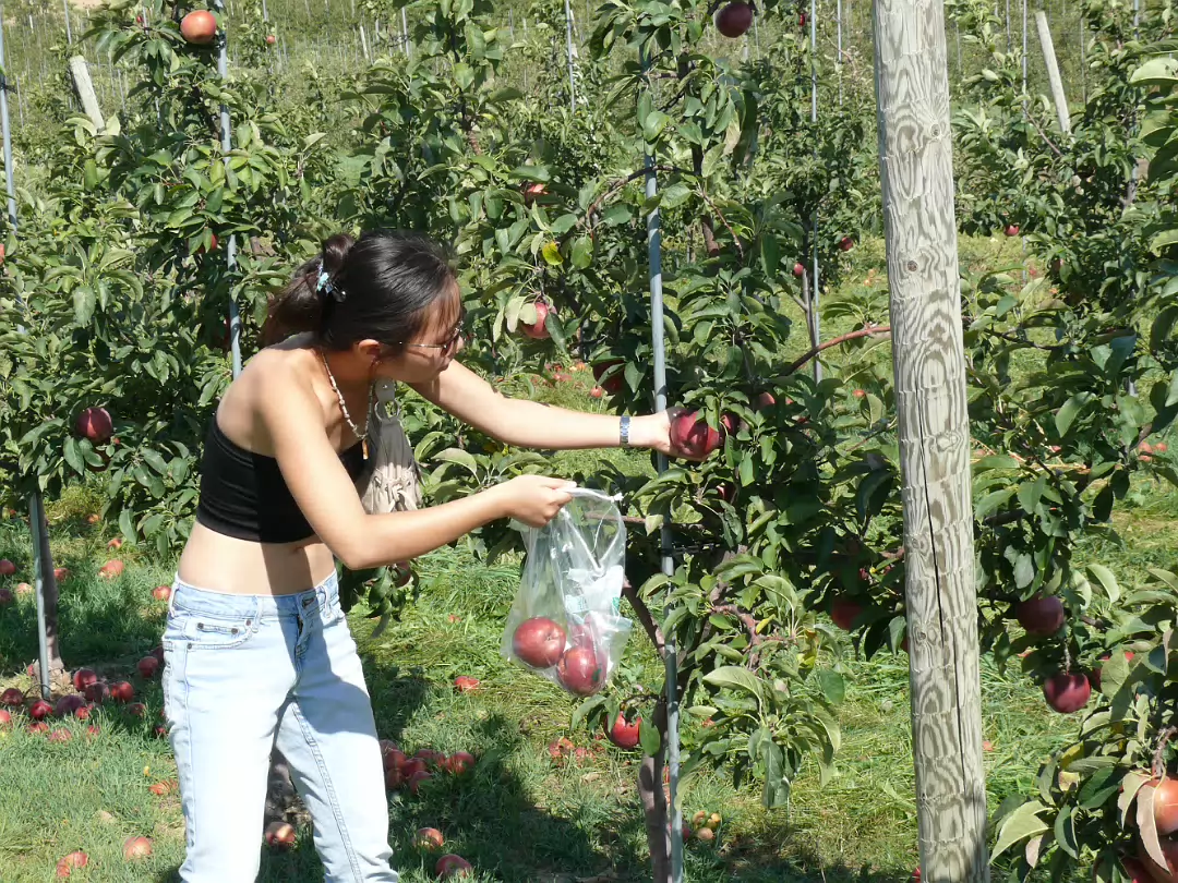 Apple_Orchard_Day-013