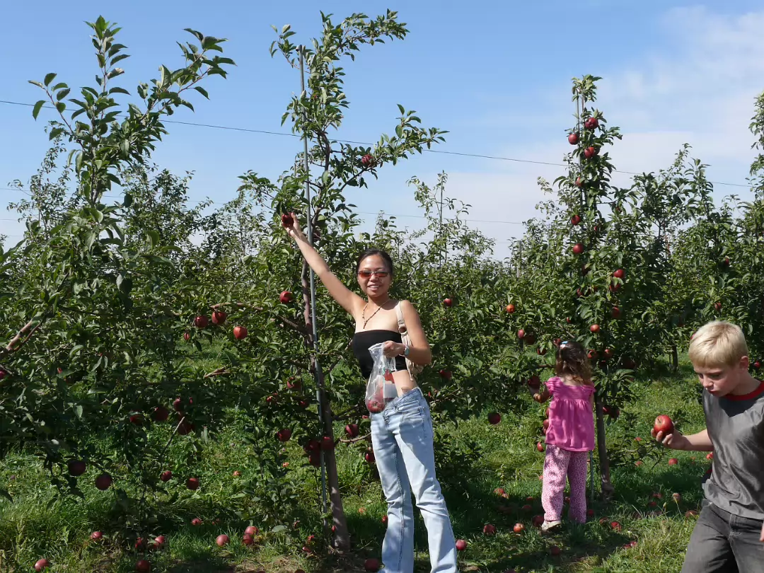 Apple_Orchard_Day-015