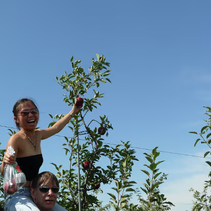 Apple_Orchard_Day-016 Hanhan getting up to the highest apple on the tree.