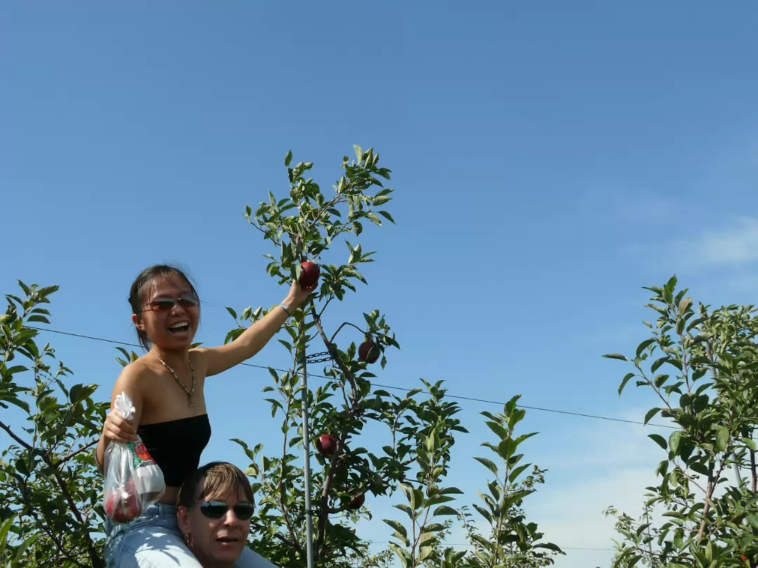 Apple_Orchard_Day-016
