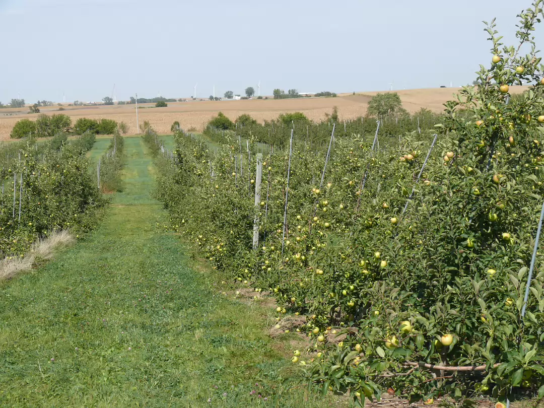 Apple_Orchard_Day-024