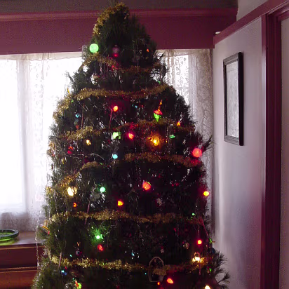 Christmas_2003-003 The tree at Linda's house.