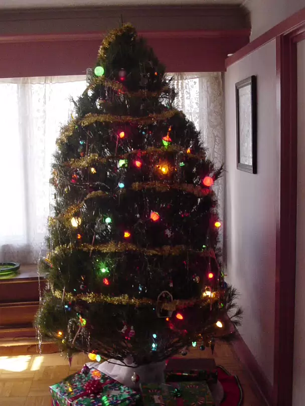 Christmas_2003-003