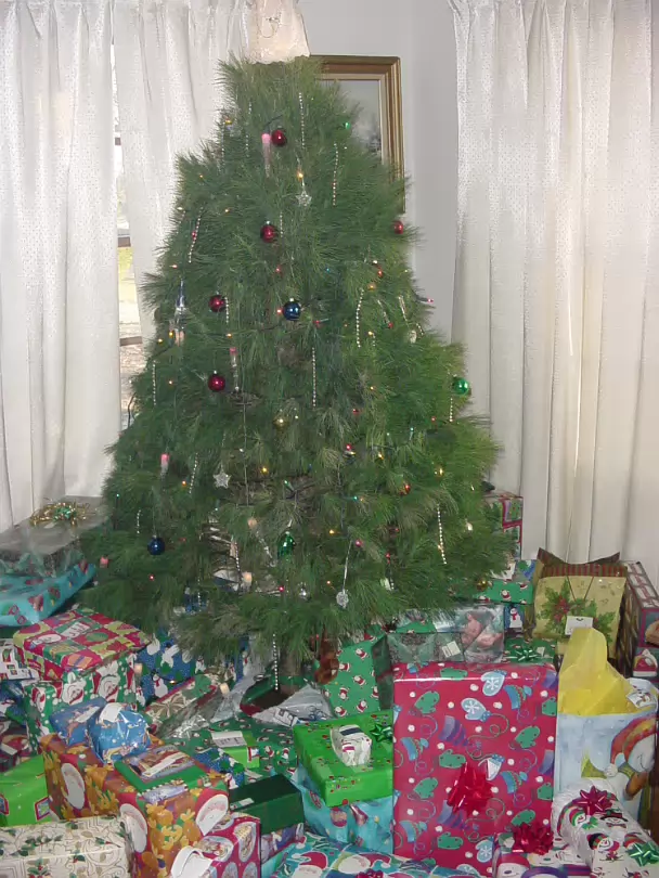 Christmas_2003-005