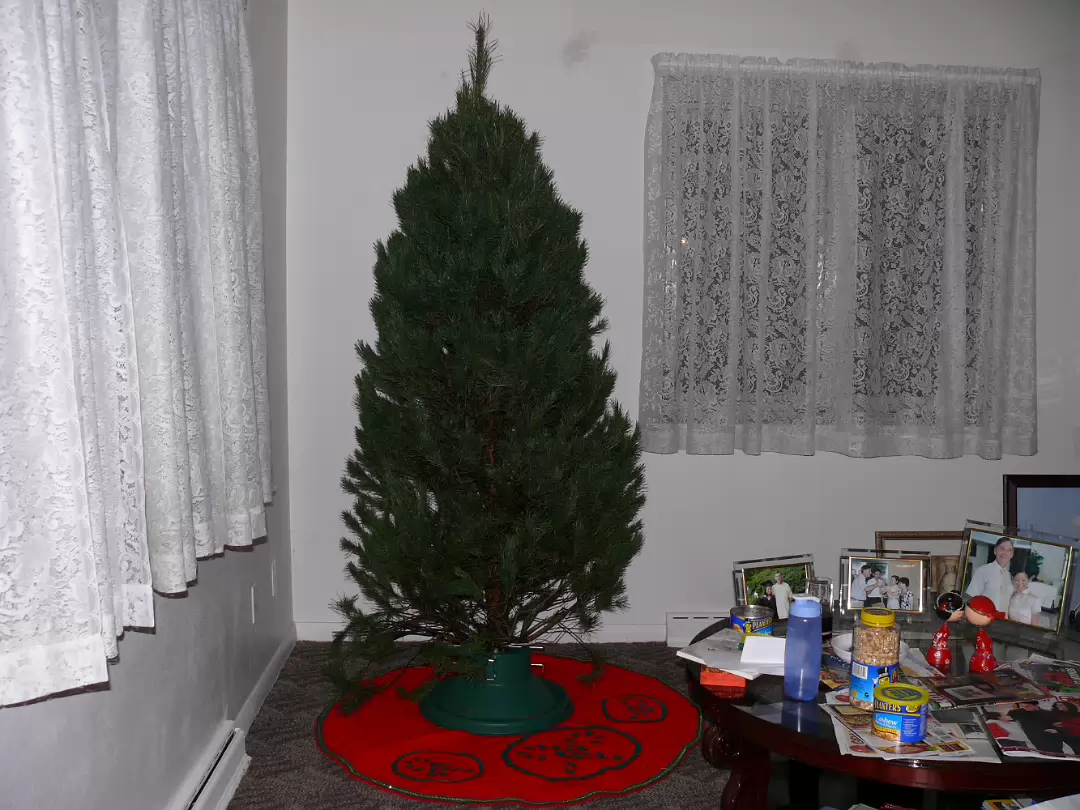 Christmas_2007-004