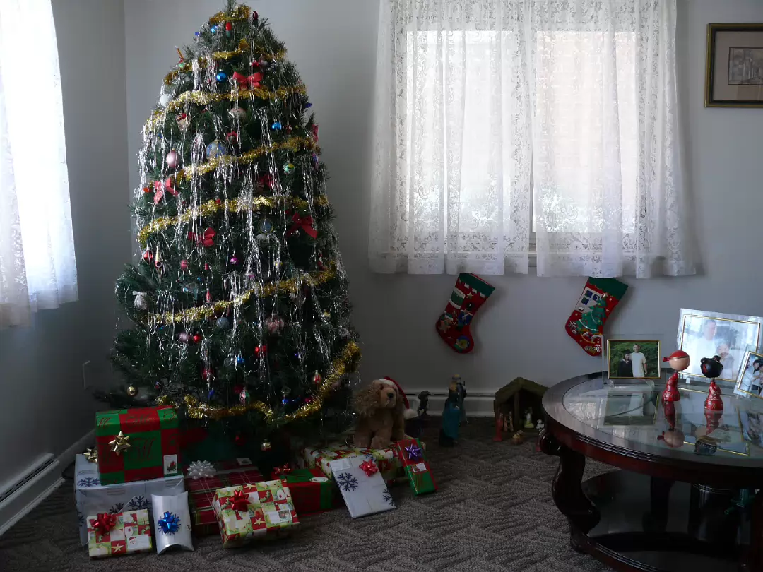 Christmas_2007-013