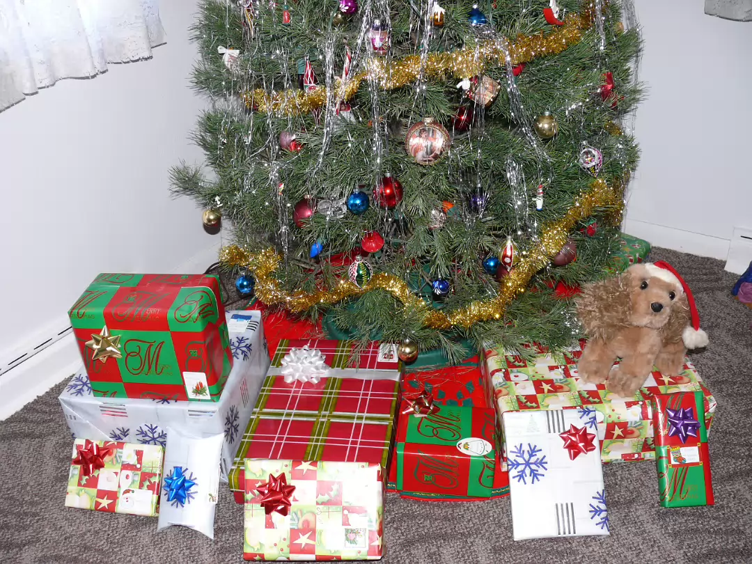 Christmas_2007-014