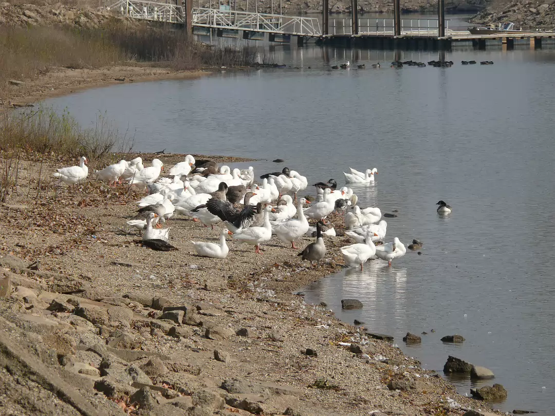 Fall_2008-002