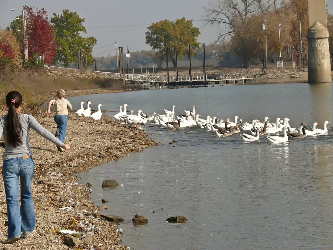 Fall_2008-003