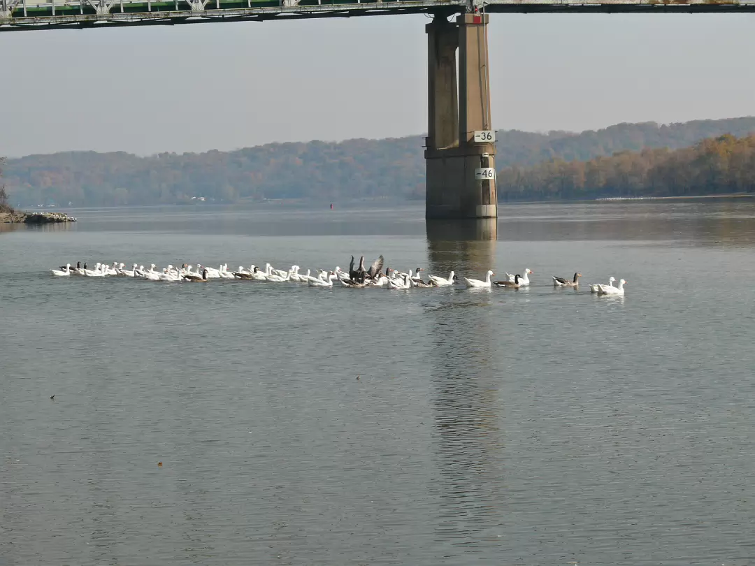 Fall_2008-005